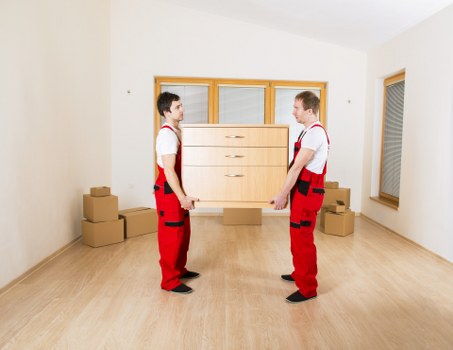 Careful boxing and labelling during a Kingston relocation